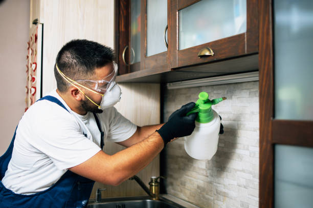 Best Rat Extermination Near Me  in Somers, MT
