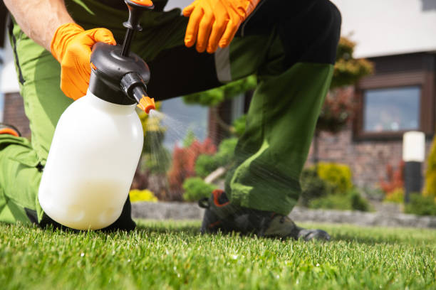 Best Pest Inspection Near Me  in Somers, MT