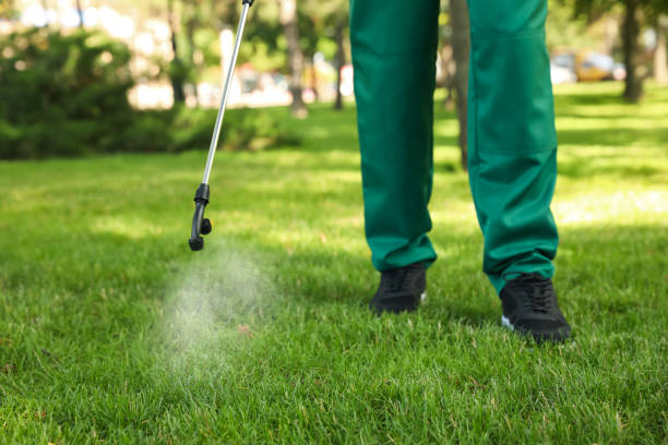 Best Best Pest Control Companies  in Somers, MT
