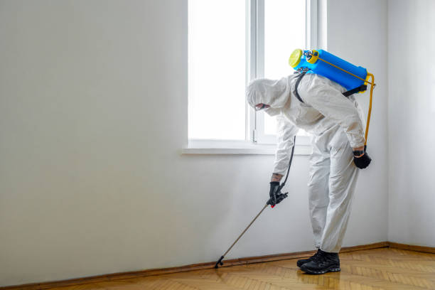 Best Exterminator Services  in Somers, MT