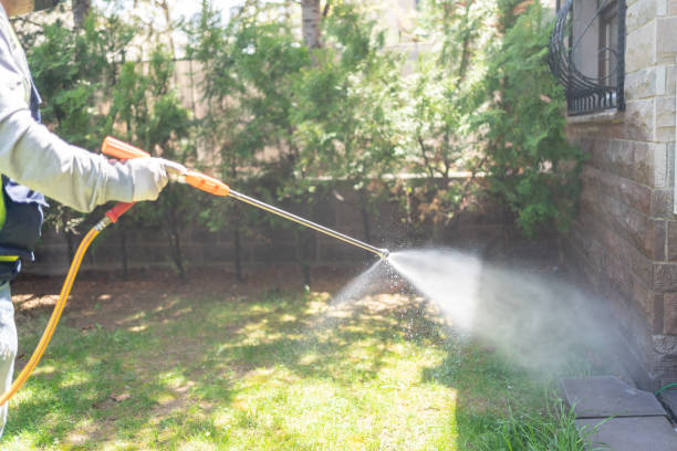 Best Pest Control Near Me  in Somers, MT