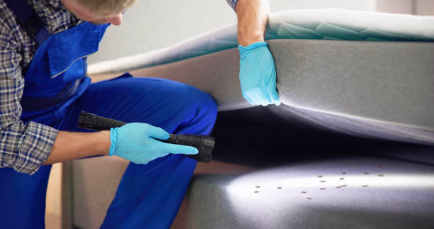Best Affordable Pest Control Services  in Somers, MT