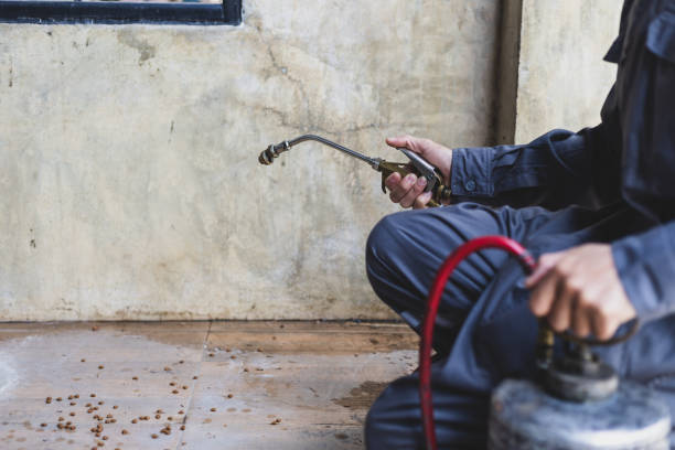 Best Mosquito Control Services  in Somers, MT